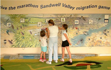 rspb_sandwell_valley_reserve_,bird migration game