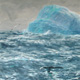 antarctic button