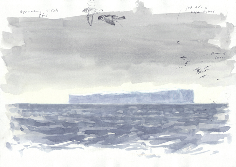 antarctica icebergs 1
