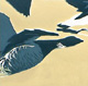 branta button