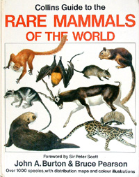 rare mammals book