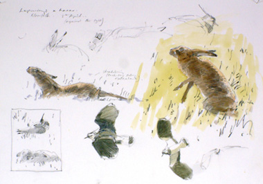 lapwings and hares 2