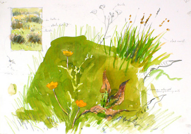 lapwings and hares 4