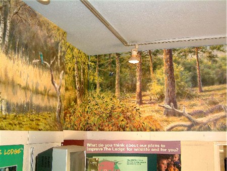 rspb the lodge_finished mural 2