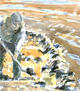 pinkfoot gallery button