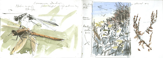 A6 norfolk sketchbook 2