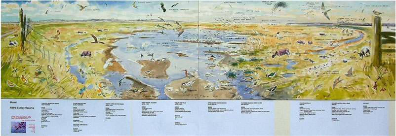 rspb elmley reserve_mural layout
