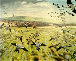 rspb pulborough brooks_mural face 1