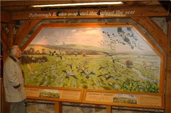 rspb pulborough brooks_finished mural