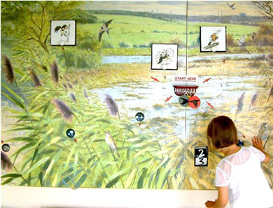 bird_migration_game_sandwell_valley_rspb_nature_reserve