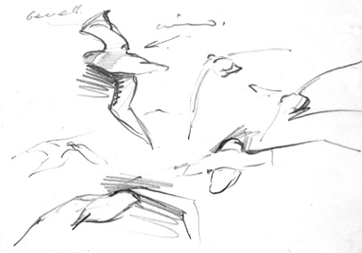 albatross 3