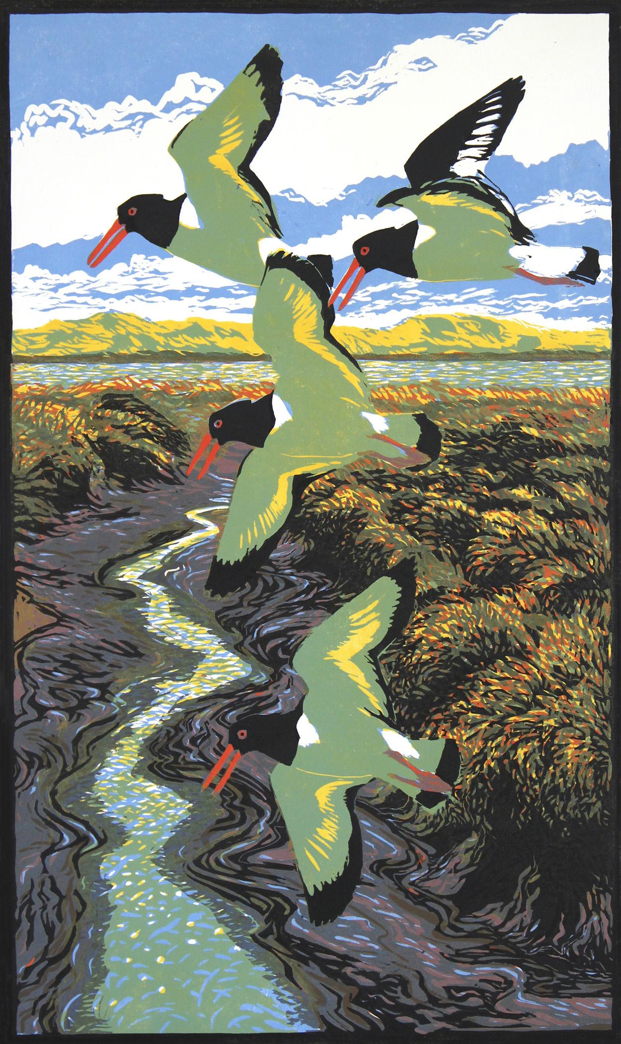Piping Oystercatchers, (Relief print, edition of 12), 48cm x 62cm