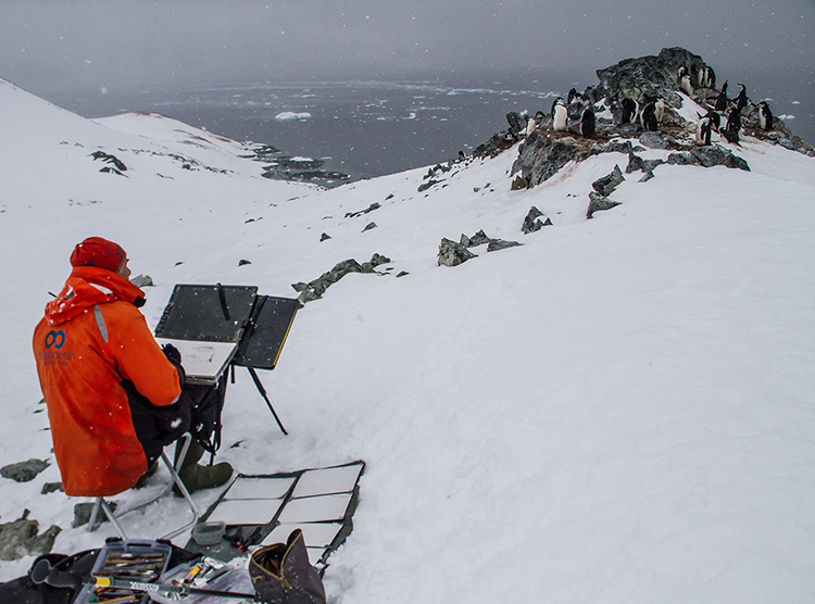 Sketching at a chinstrap penguin colony, Antarctic Peninsula, 2017.