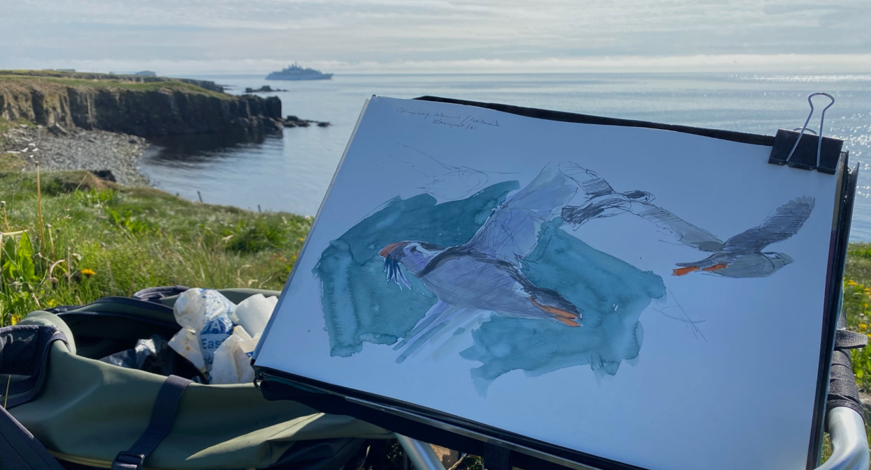 Sketchinmg puffins on Grimsey (with Crystal Endeavor at anchor beyond).