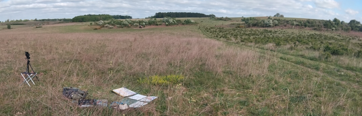 Painting on the heath, May 2025
