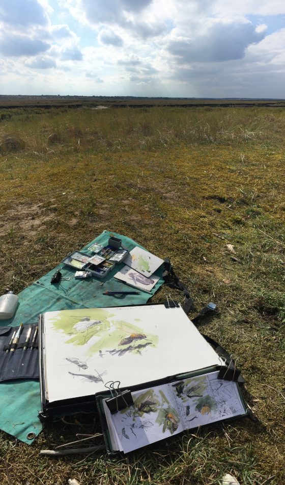 I mostly sketch in the field using a range of pencils and graphite sticks (most often 3B or 4B), pans of watercolours and tubes of pigment, and coloured pencils with a bundle of brushes. They range from flat 2 or 3 inch to size 3 and 5, and I also carry a few large and medium Japanese brushes. The paper is mostly a 220gsm A3 sketching and drawing paper, but sometimes I do carry various larger sheets with characteristically different surfaces - a particular favourite is Saunders Waterford.