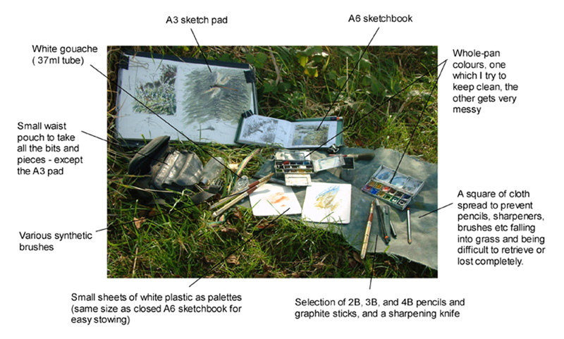 field sketching layout 1