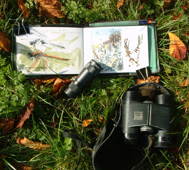field sketching layout 3