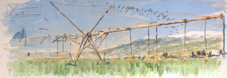 irrigation