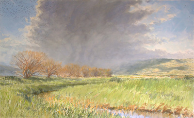 hula valley crane and stork migration
