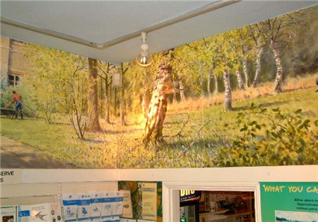 rspb the lodge_mural in place 1