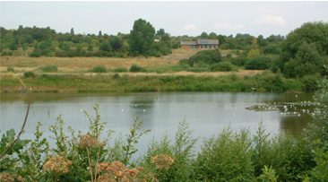 rspb_sandwell_valley_nature_reserve