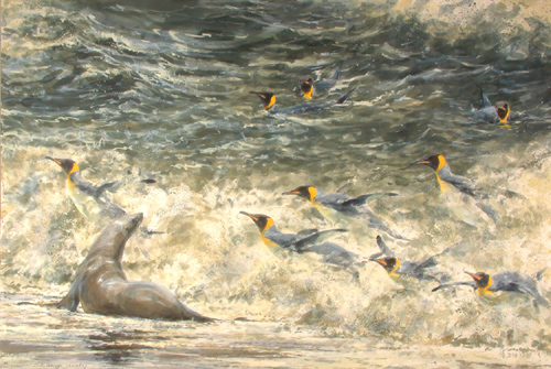 king penguins and fur seal