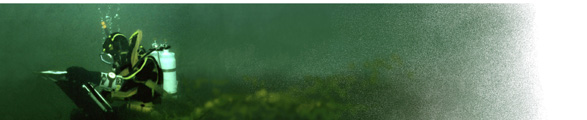 diving_artist