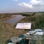 bruce pearson_field painting, north norfolk_1